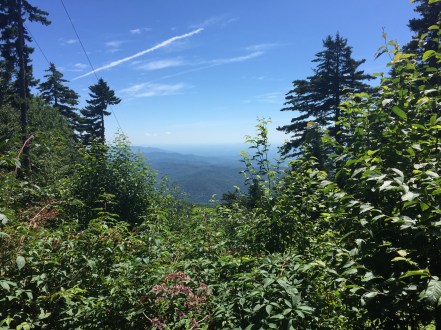 One of the views from Mt. Mitchell
