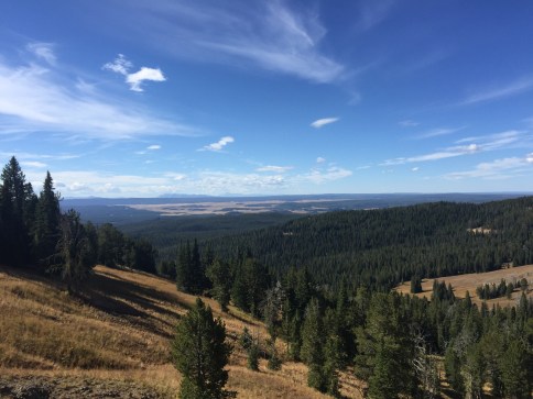 Incredible views from the start of the Mt. Washburn hike.