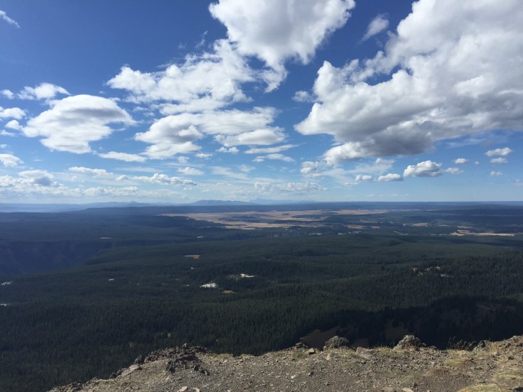 Getting higher up on Mt. Washburn trail! 