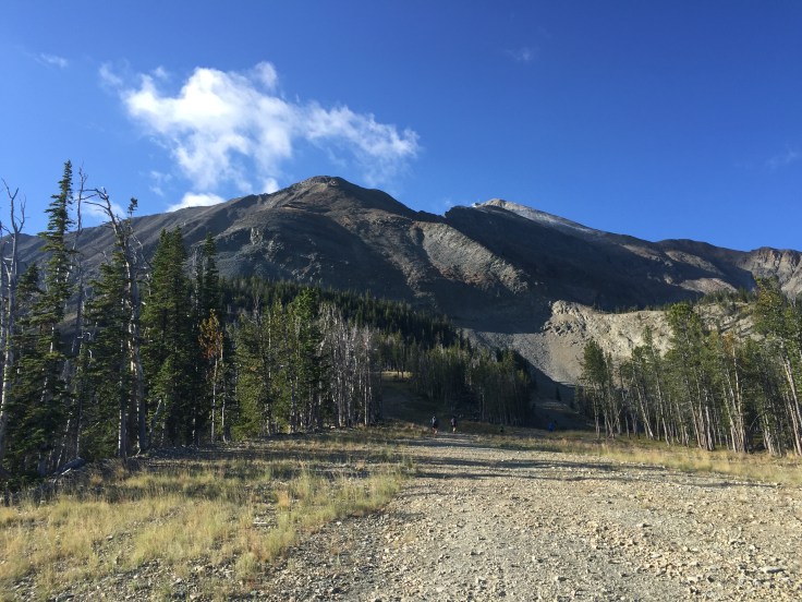 Looking up to Headwater Ridge, the first major technical climb about 13 miles into the race.