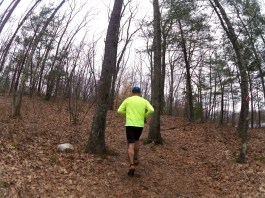 Hale Reservation Single Track