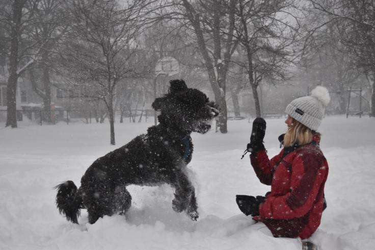 16700544_10211870253096926_4775259208711240839_o