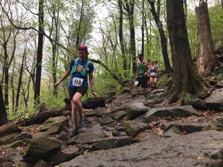 18221667_10212714651406356_5376376325567460672_n